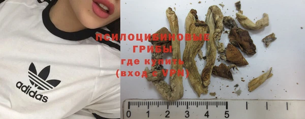 шишки Нефтекумск