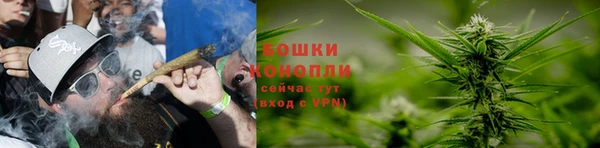 трава Абаза