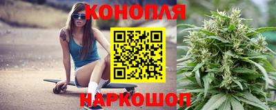 гидра Свободный