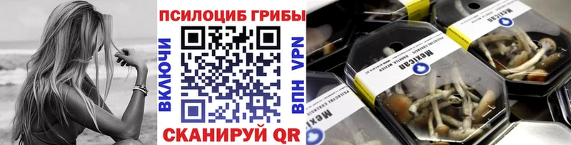 Галлюциногенные грибы мицелий закладка Приморско-Ахтарск