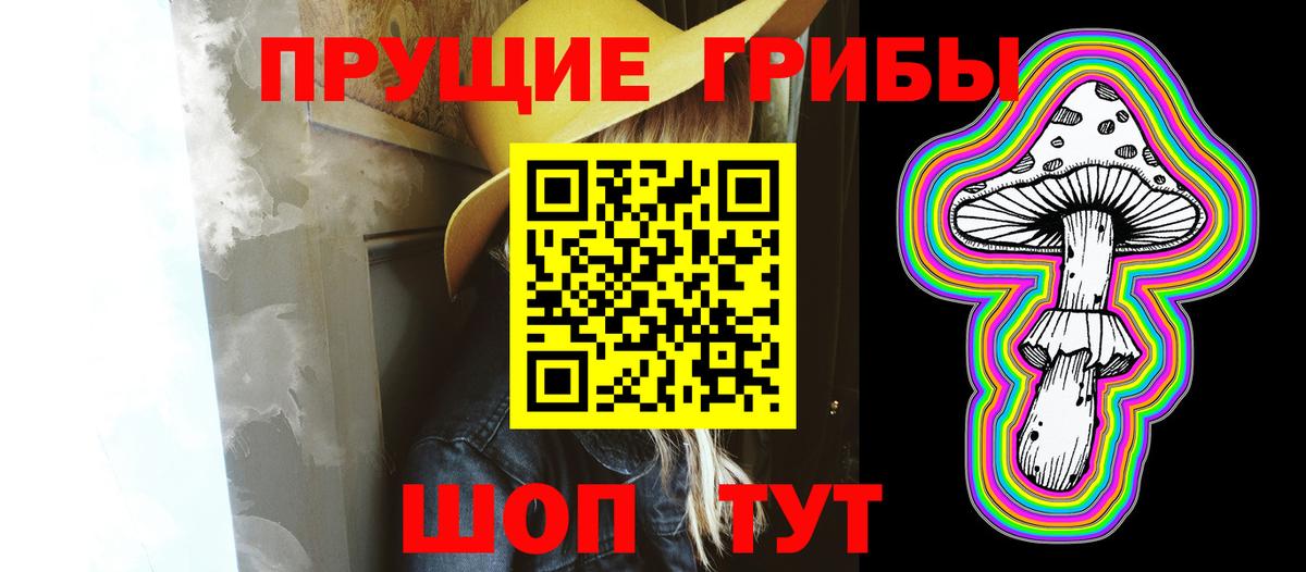 Галлюциногенные грибы GOLDEN TEACHER Приморско-Ахтарск