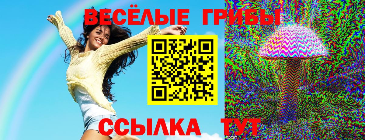 Приморско-Ахтарск  Псилоцибиновые грибы ЛСД  Вход с VPN  Псилоцибиновые грибы MAGIC MUSHROOMS 